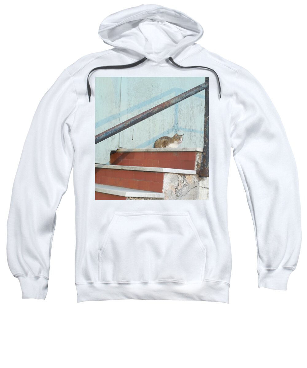 Cat Sweatshirt featuring the photograph Cat in Ventimiglia II by Aisha Isabelle