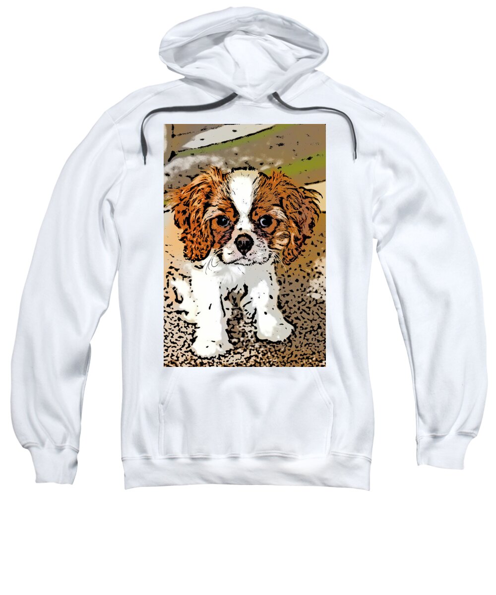 Cavalier King Charles Spaniel Sweatshirt featuring the photograph Cavalier Puppy by Tanya C Smith