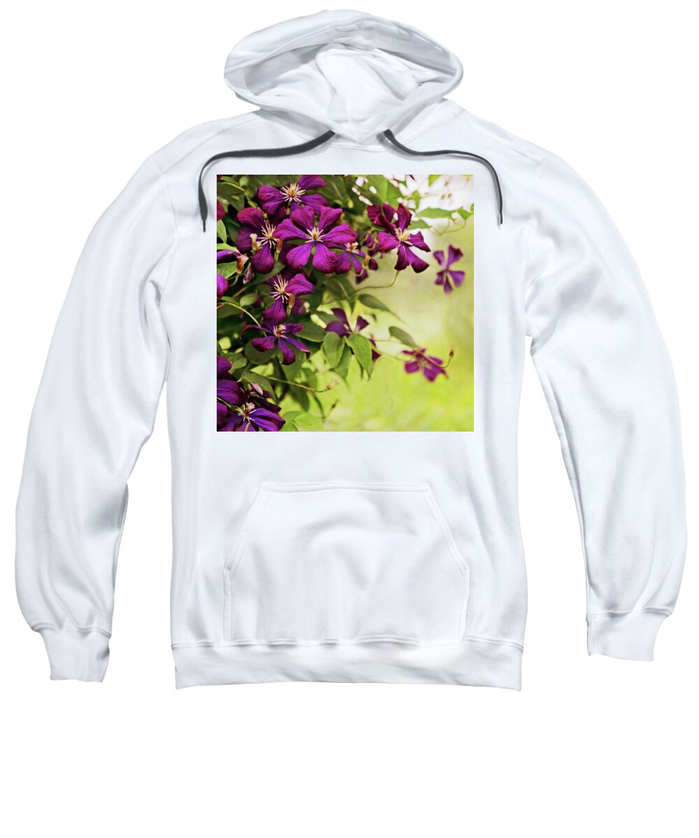 Clematis Sweatshirt featuring the photograph Clematis on the Vine by Jessica Jenney