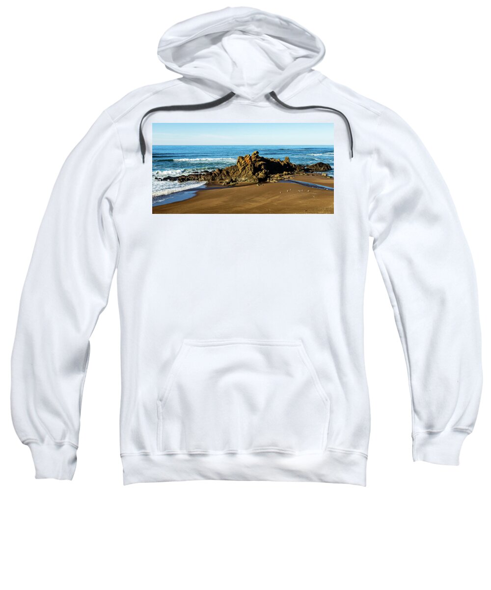 Landscape Sweatshirt featuring the photograph Coast Of Oregon-1 by Claude Dalley