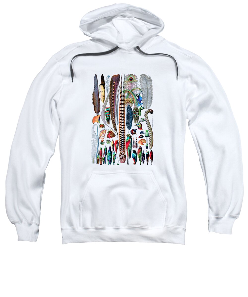 Feather Sweatshirt featuring the digital art Colorful feather collection by Madame Memento
