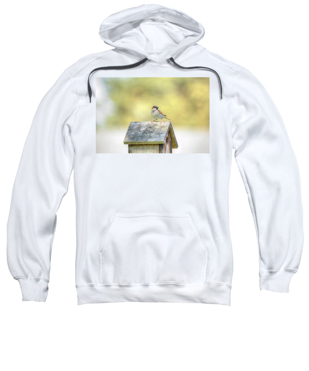 Bird Sweatshirt featuring the photograph Common Sparrow by Loyd Towe Photography