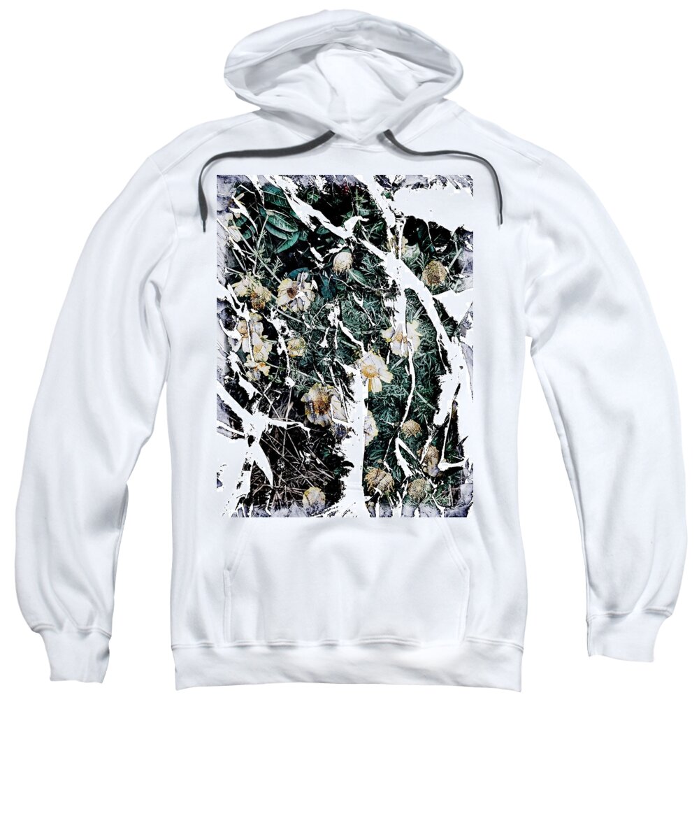 Abstract Daisies Flowers Yellow Orange White Black Green Leaves Grass Grey Sweatshirt featuring the digital art Daisies Abstract by Kathleen Boyles