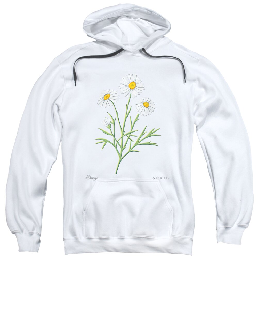 Daisy Sweatshirt featuring the painting Daisy April Birth Month Flower Botanical Print on White - Art by Jen Montgomery by Jen Montgomery