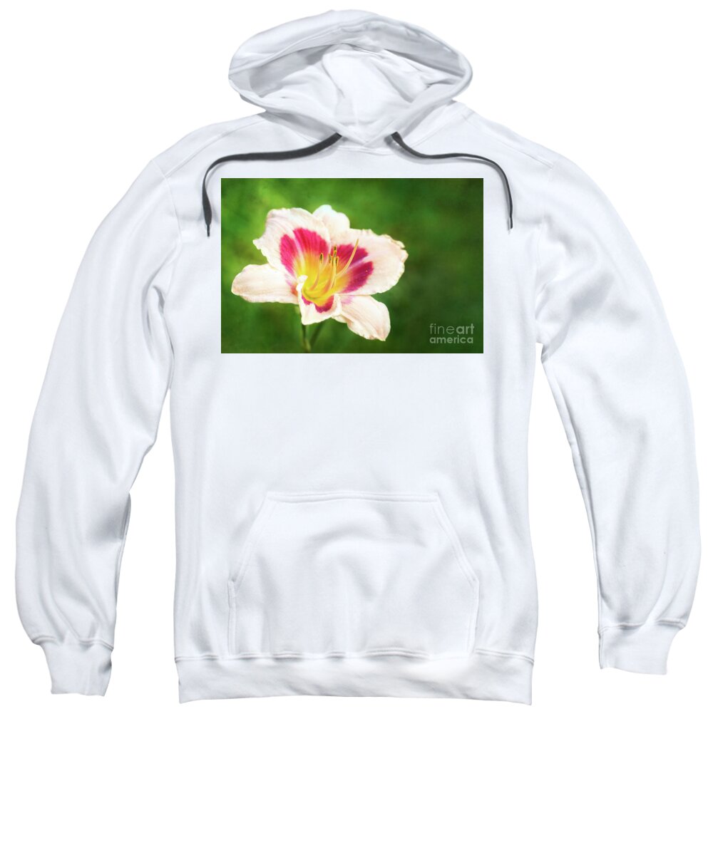 Daylily Sweatshirt featuring the photograph Delicious Daylily Wineberry Candy by Anita Pollak