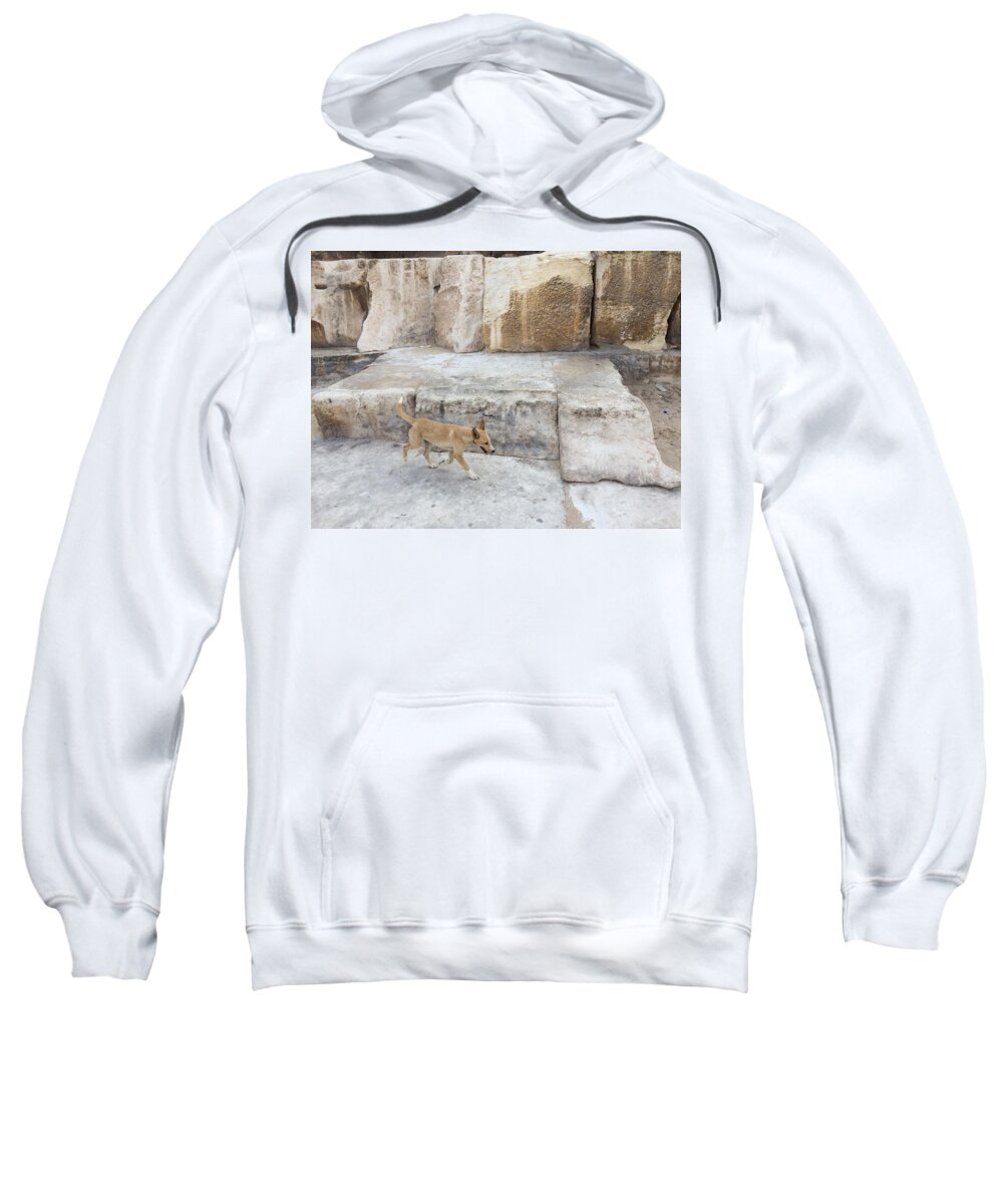 Giza Sweatshirt featuring the photograph Dogs of Giza by Trevor Grassi