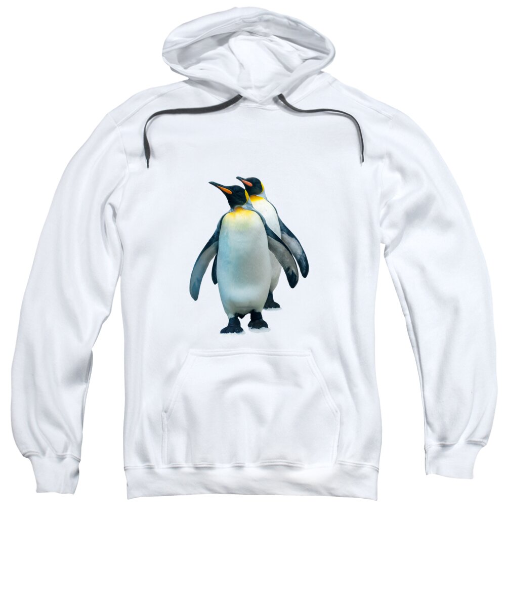 Penguins Sweatshirt featuring the photograph Double penguin by Delphimages Photo Creations