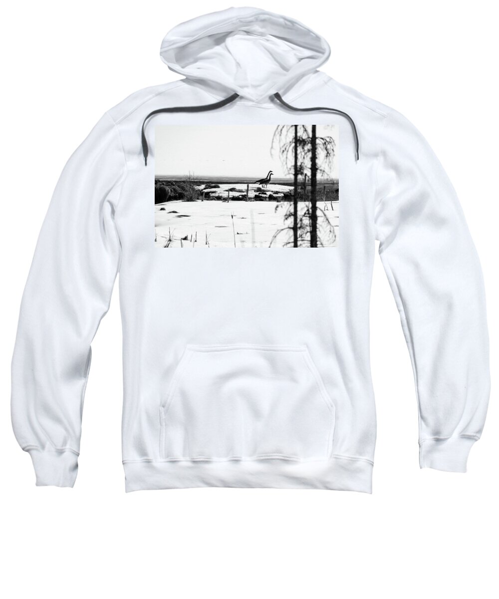 Landscape Sweatshirt featuring the photograph Goose on lake by Nathan Wasylewski