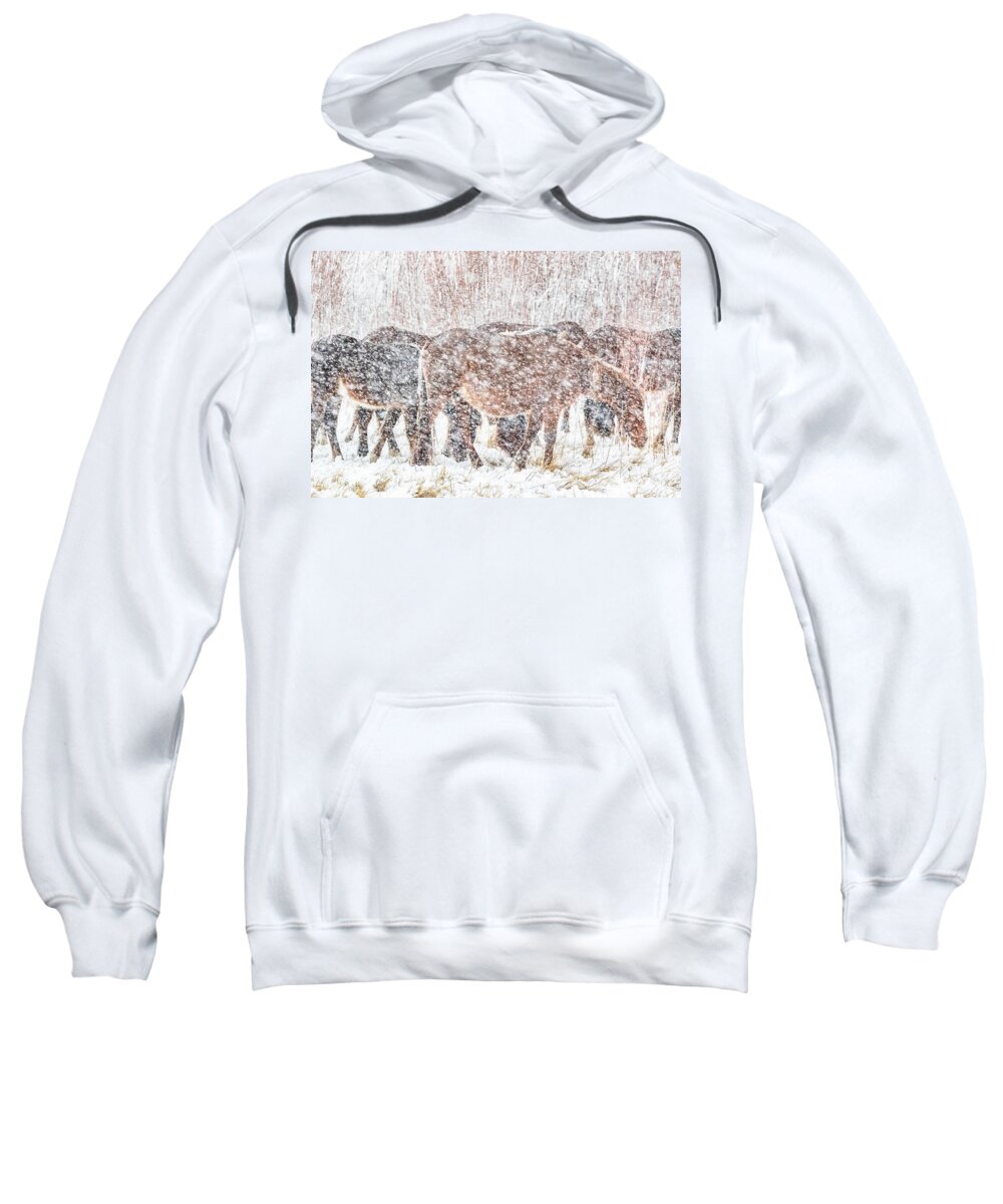 Nevada Sweatshirt featuring the photograph Grazing Through The Snow by Marc Crumpler