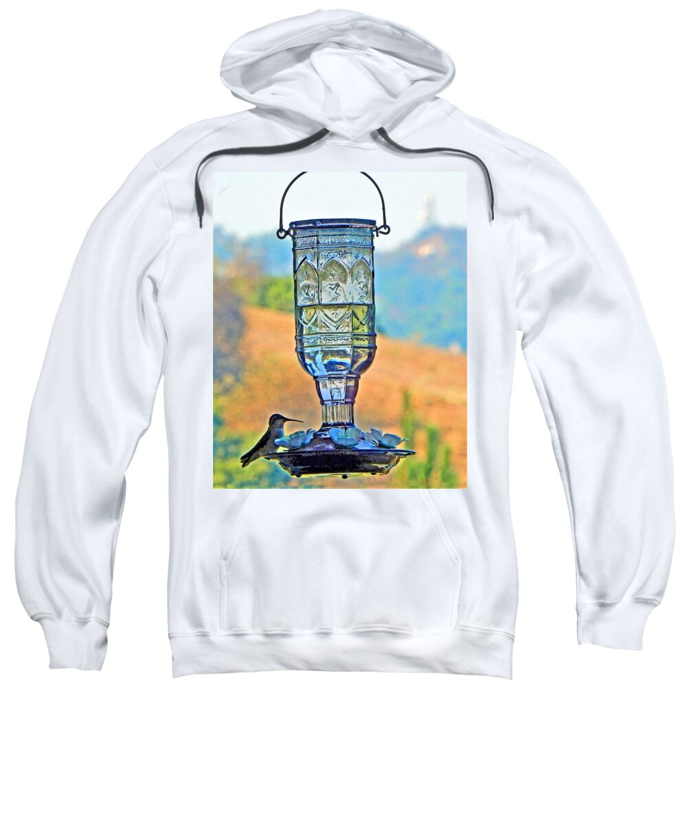Hummingbird Sweatshirt featuring the photograph Hummingbird Visit by Andrew Lawrence