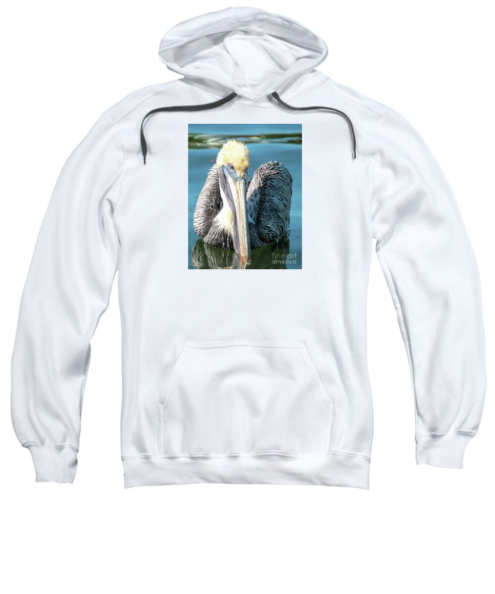 Brown Pelican Sweatshirt featuring the photograph I see you, says Brownie by Joanne Carey