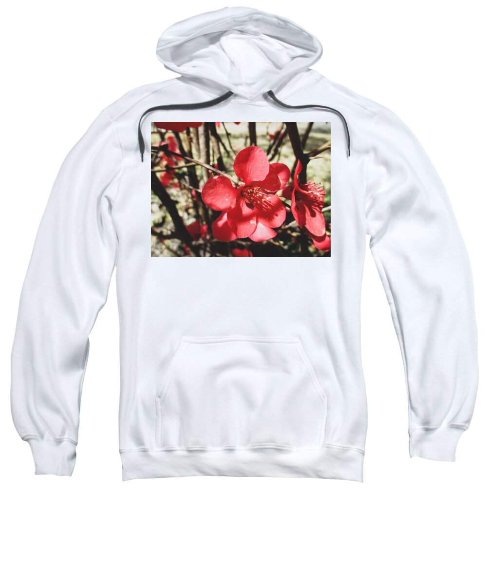 Quince Sweatshirt featuring the photograph Japanese Quince by W Craig Photography