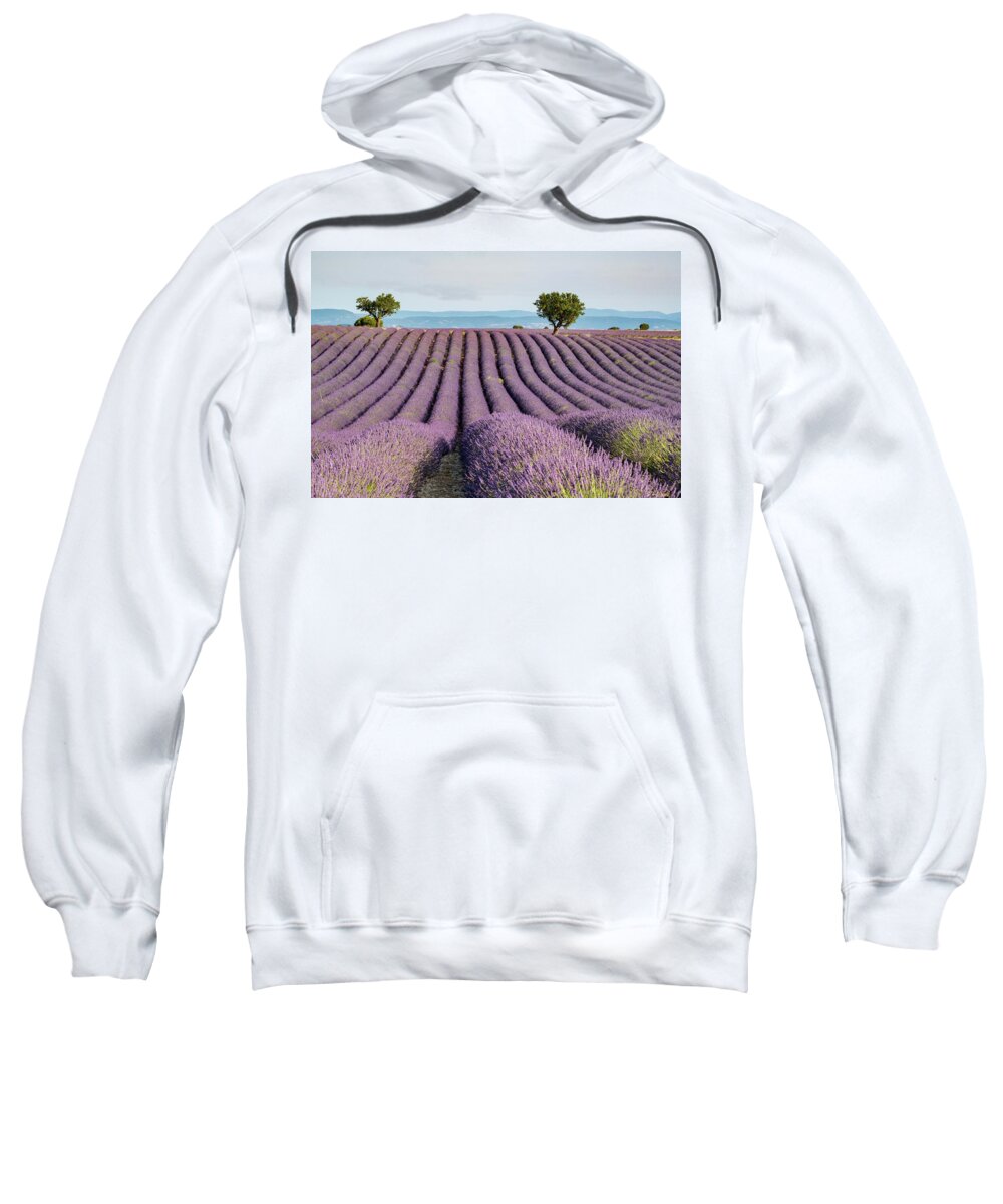 Lavender Sweatshirt featuring the photograph Lavender Field by Rob Hemphill