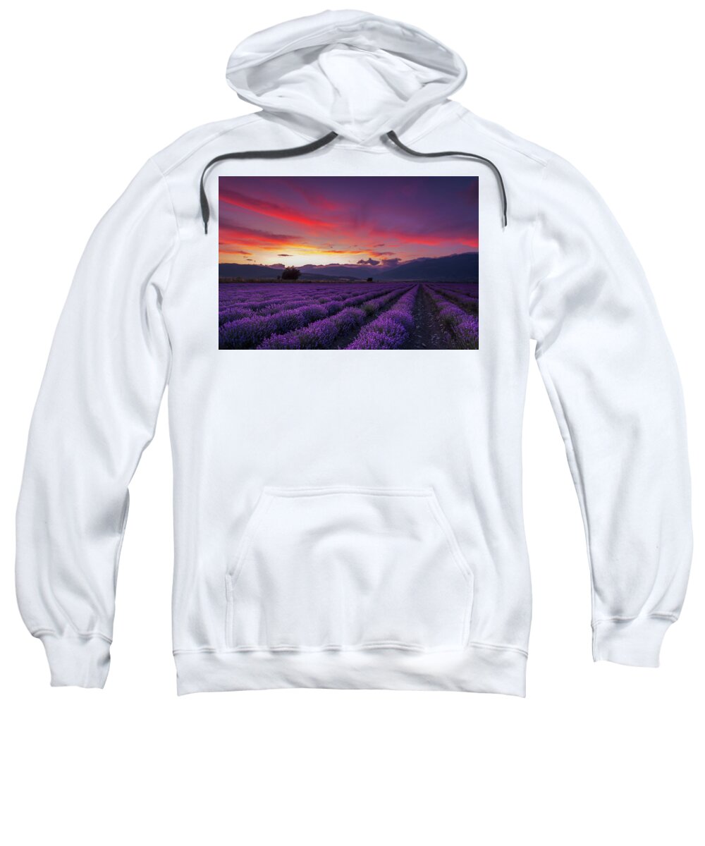 Dusk Sweatshirt featuring the photograph Lavender Season by Evgeni Dinev