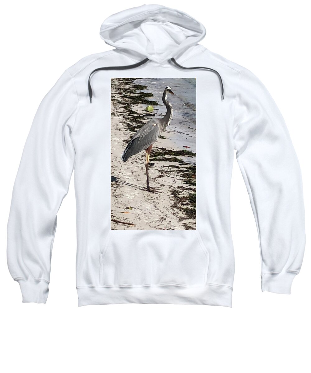 Bird Sweatshirt featuring the photograph Le Guardien by Medge Jaspan