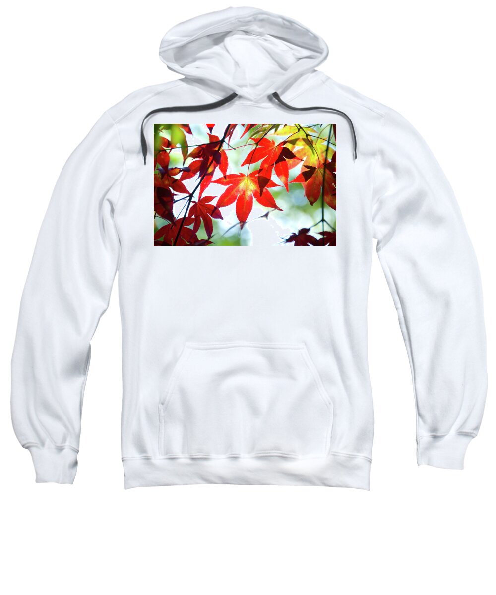 Leaf Sweatshirt featuring the photograph Leaves at Autumn by Steffen Gierok