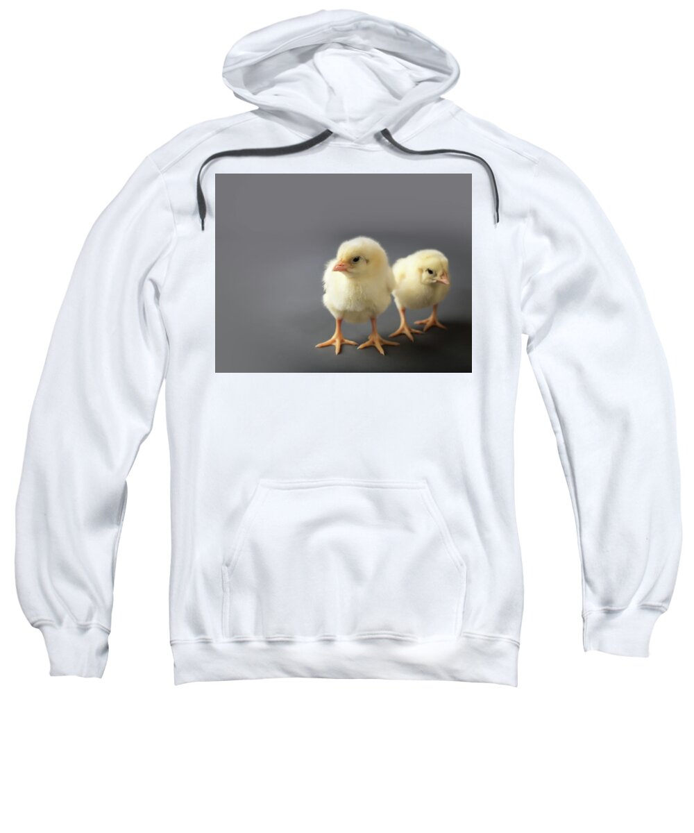  Sweatshirt featuring the photograph Lil' Peepers by Nicole Engstrom