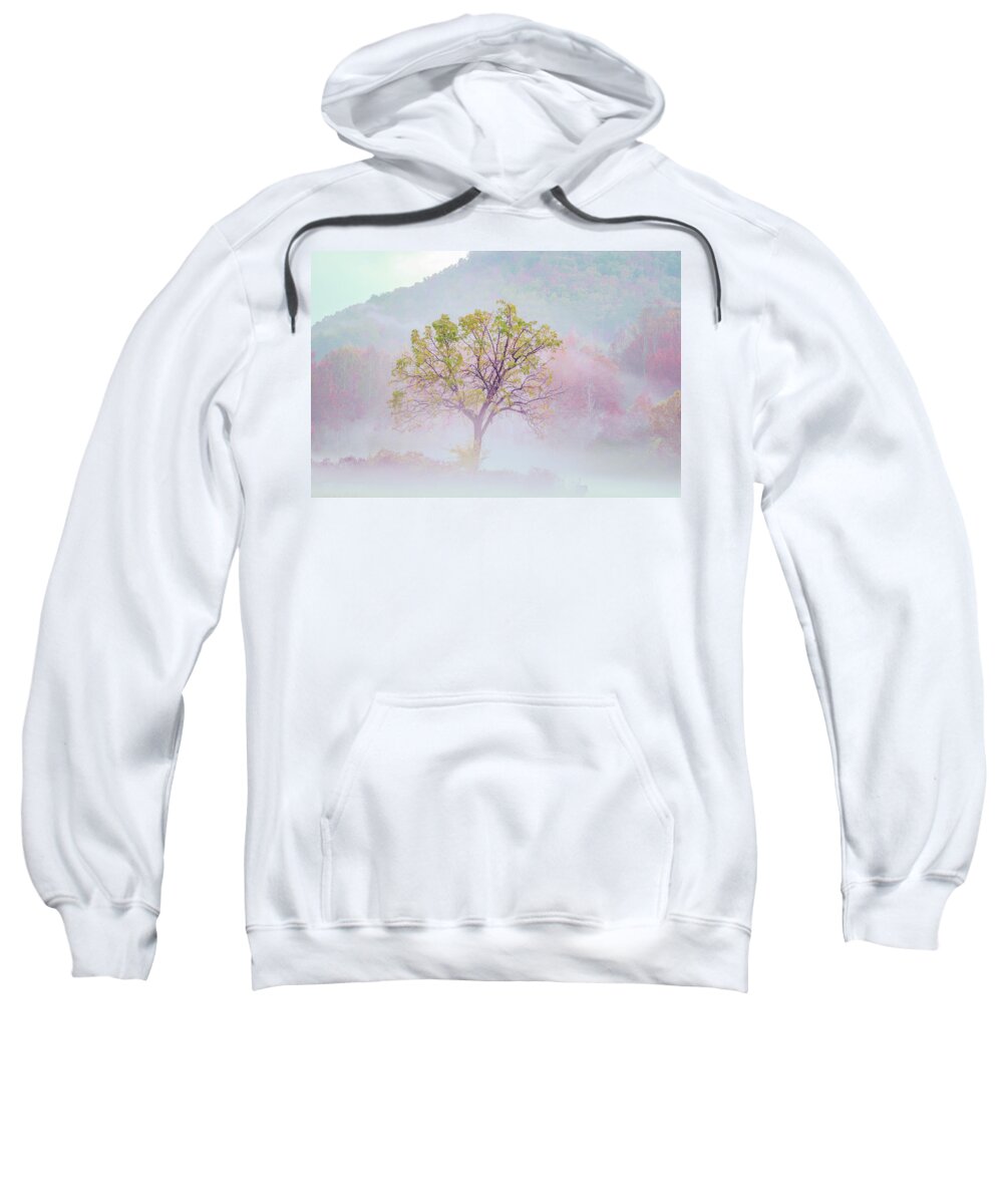 Fall Colors Sweatshirt featuring the photograph Lonely Tree by Darrell DeRosia