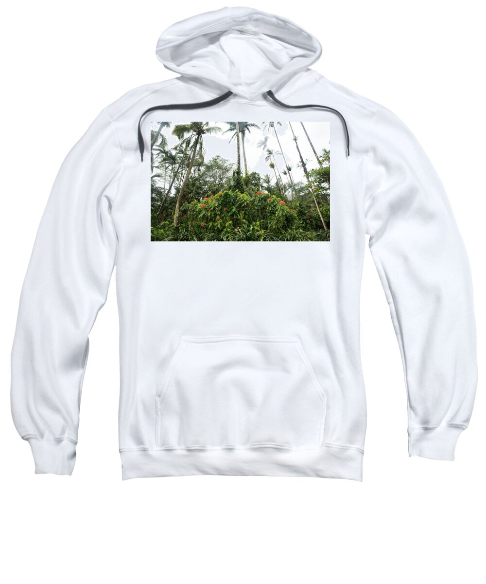 Manoa Falls Sweatshirt featuring the photograph Manoa Falls 1 by Joseph Philipson
