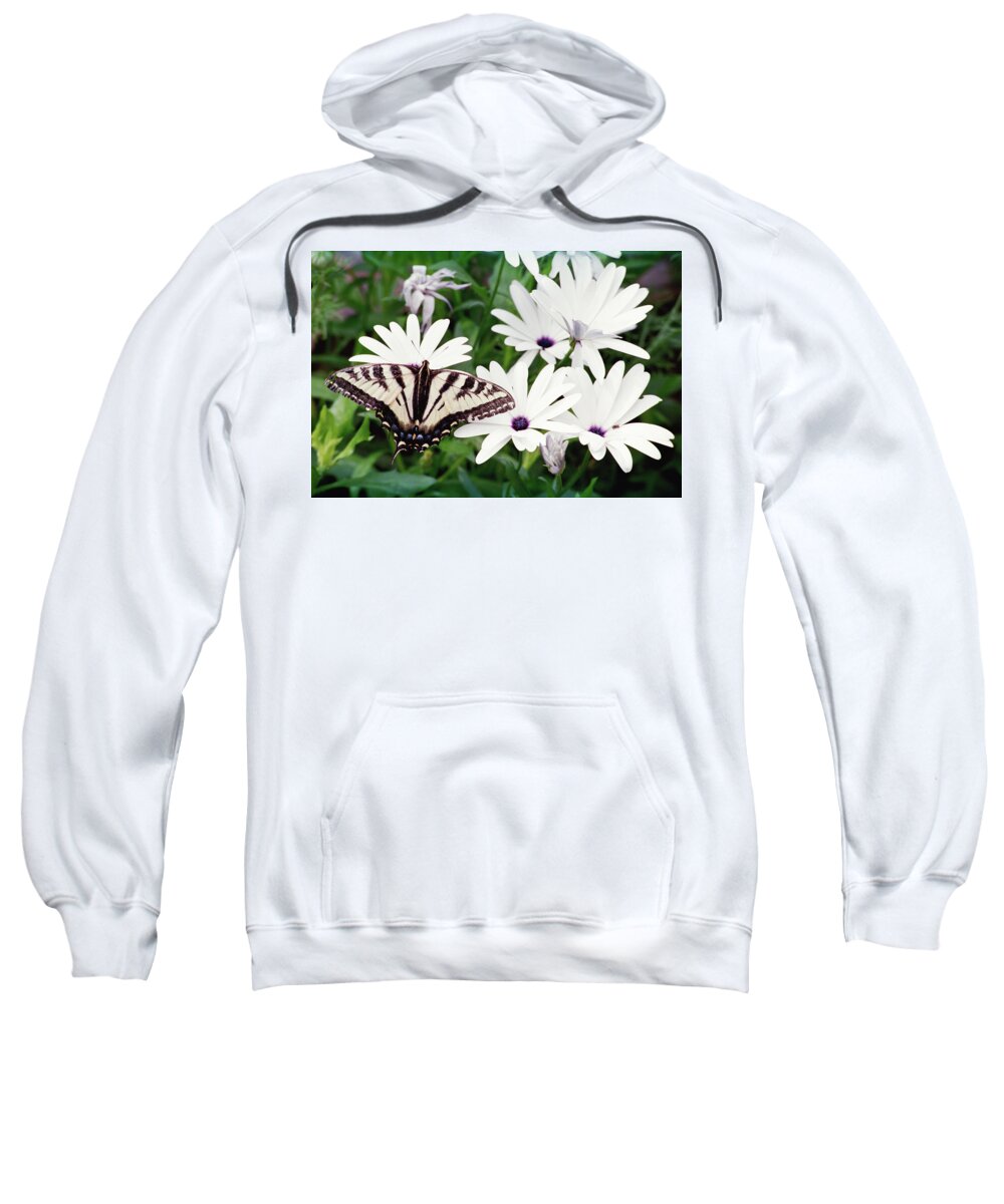 Flowers Sweatshirt featuring the photograph Mariposa and Daisies by Bonnie Colgan