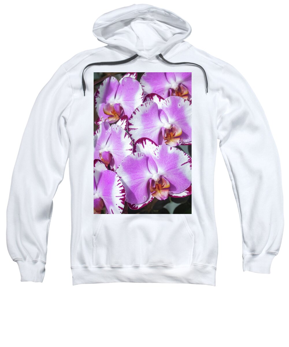 Kauai Sweatshirt featuring the photograph Morning Orchid by Tony Spencer