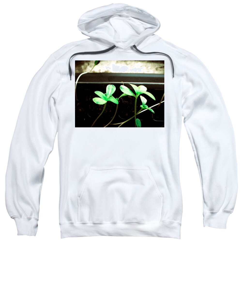Zinnia Sweatshirt featuring the photograph Nature in Training by W Craig Photography