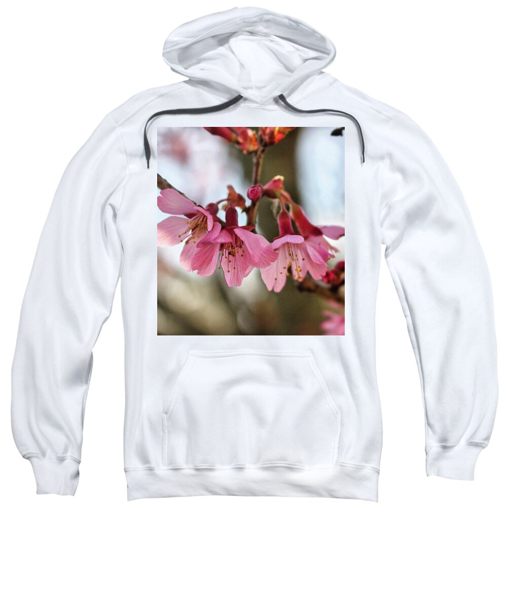 Newark Sweatshirt featuring the photograph Newark Cherry Blossom Series - 5 by Christopher Lotito