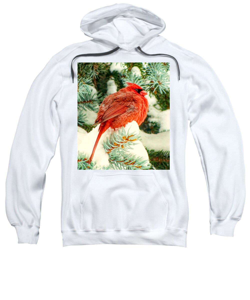 Nature Sweatshirt featuring the photograph Northern Cardinal by Susan Hope Finley