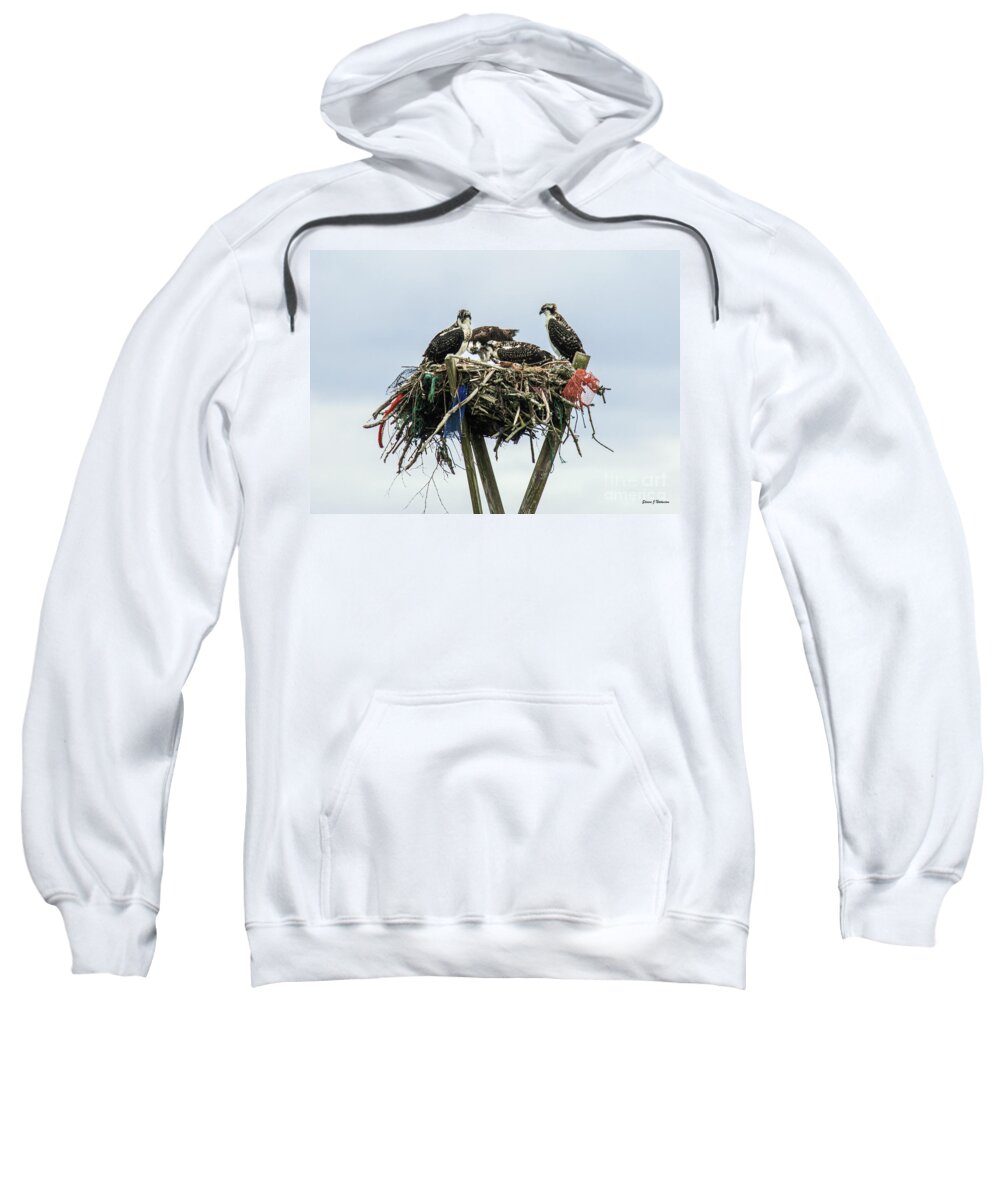 Natanson Sweatshirt featuring the photograph Osprey Take Out Dining by Steven Natanson