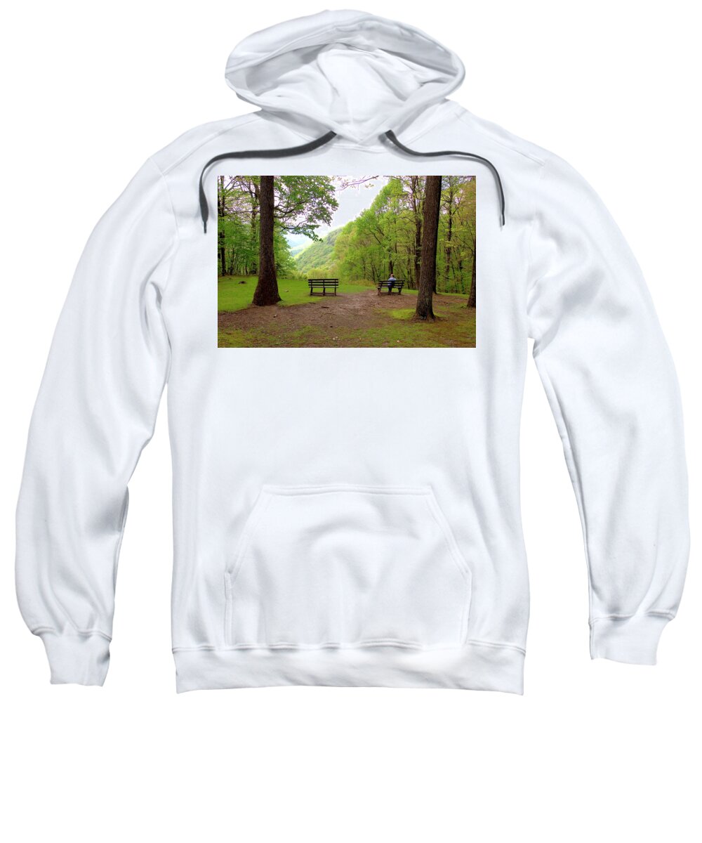Green Sweatshirt featuring the photograph Overlook at Babcock State Park by James C Richardson