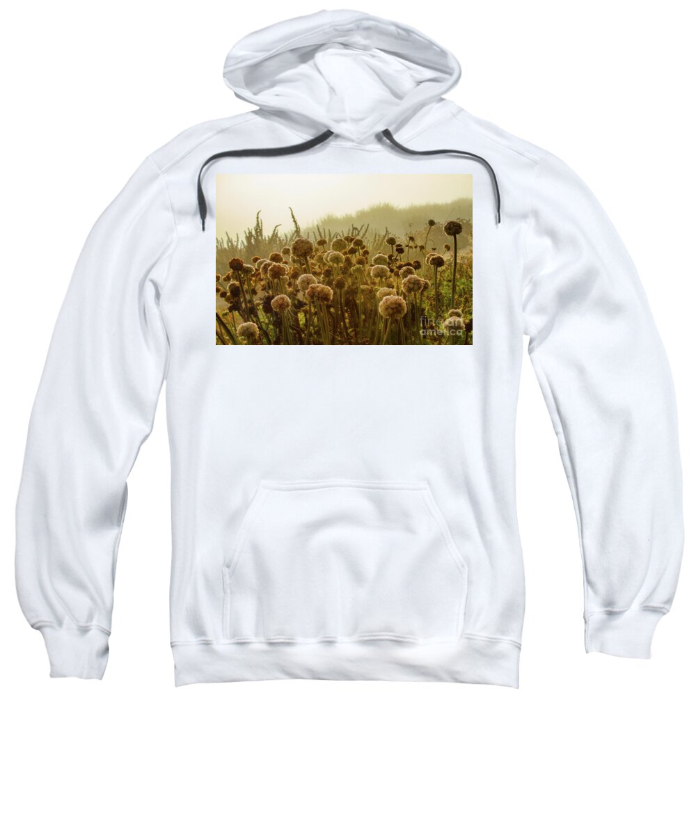 Pacific Sweatshirt featuring the photograph Pacific Coast Autumn Morning by Marilyn Cornwell
