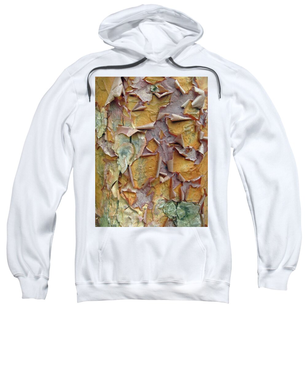 Tree Sweatshirt featuring the photograph Paperbark Maple Tree by Jessica Jenney
