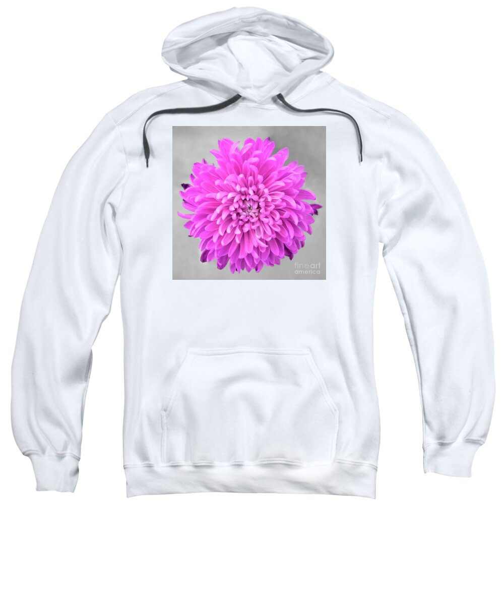 Floral Sweatshirt featuring the photograph Pink Chrysanthemum Flower Joy-Pink by Renee Spade Photography