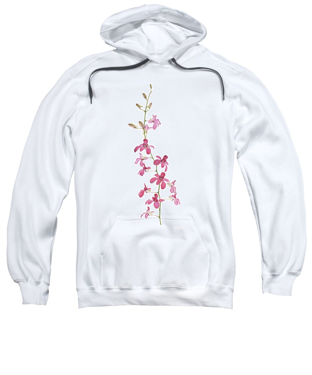 Nikita Coulombe Sweatshirt featuring the painting Pink Orchids I by Nikita Coulombe