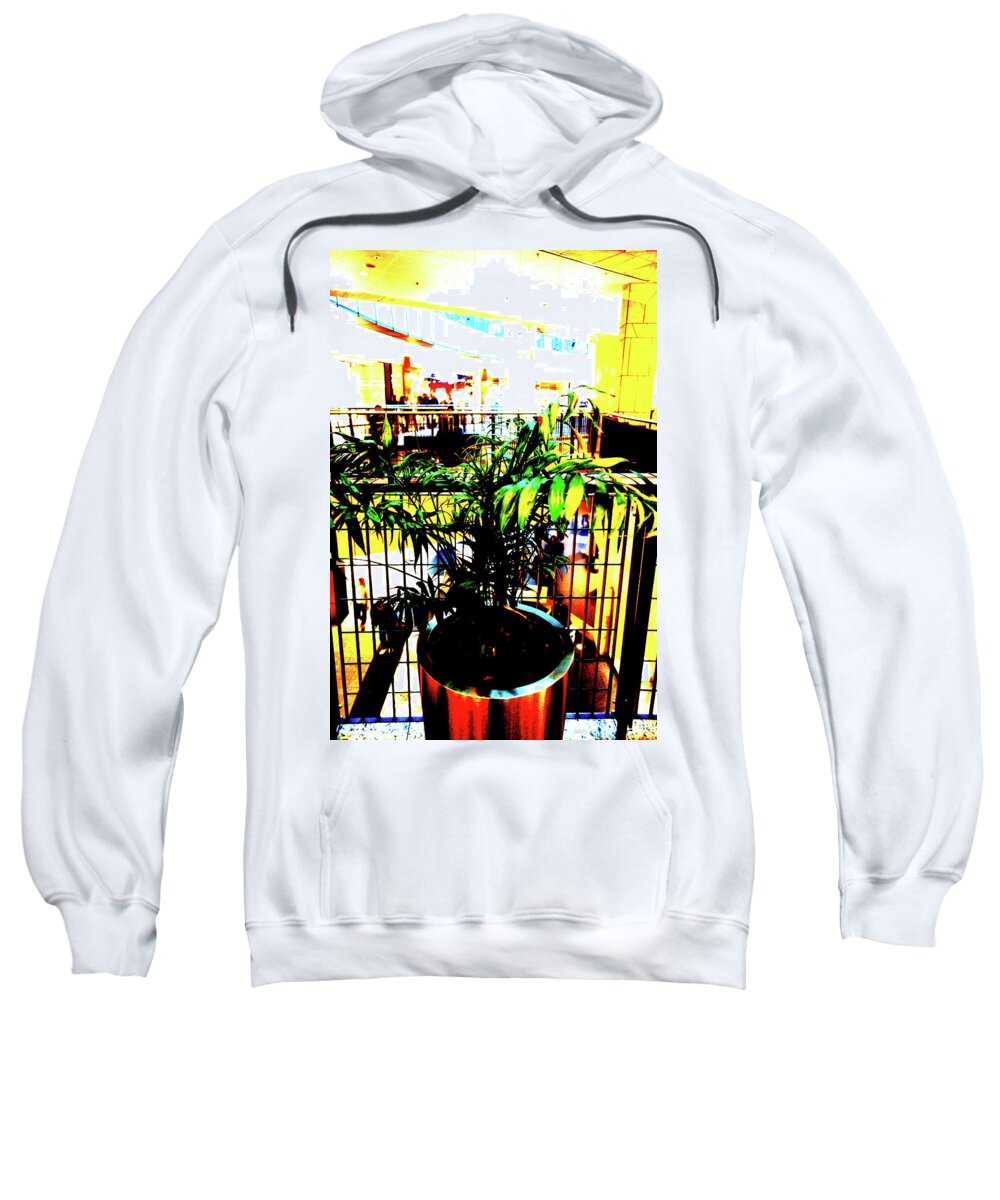 Plant Sweatshirt featuring the photograph Plant In Mall In Warsaw, Poland by John Siest