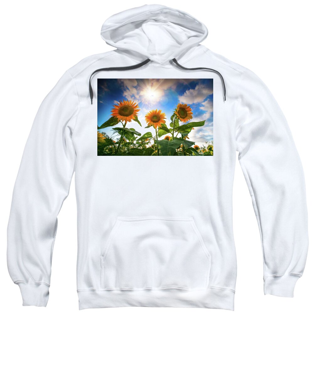  Sweatshirt featuring the photograph Radiant Sunflowers by Nicole Engstrom