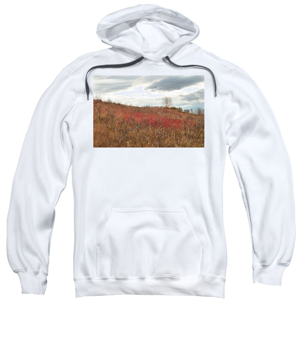 Red Sweatshirt featuring the photograph Red Wild Rose Patch In A Pasture by Karen Rispin