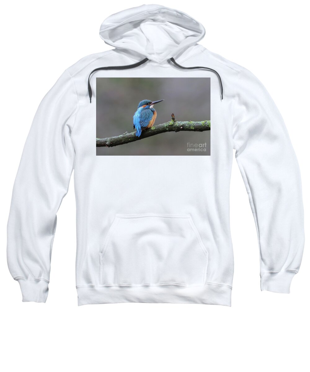 European Kingfisher Sweatshirt featuring the photograph River Kingfisher by Eva Lechner