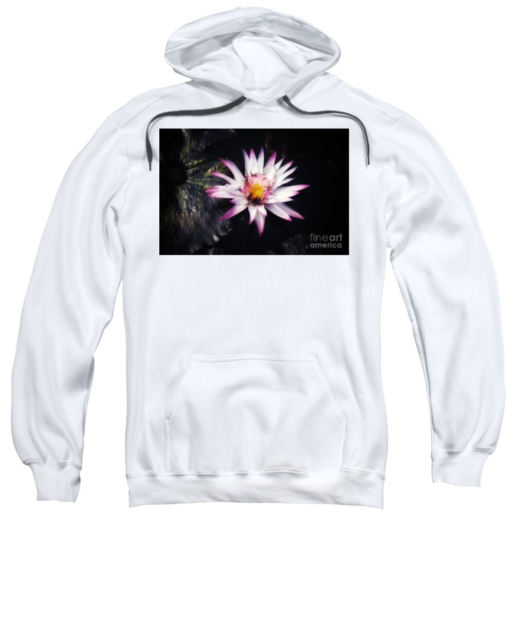 Nymphaea Sweatshirt featuring the photograph Slowly Wilting Firefox by LaDonna McCray
