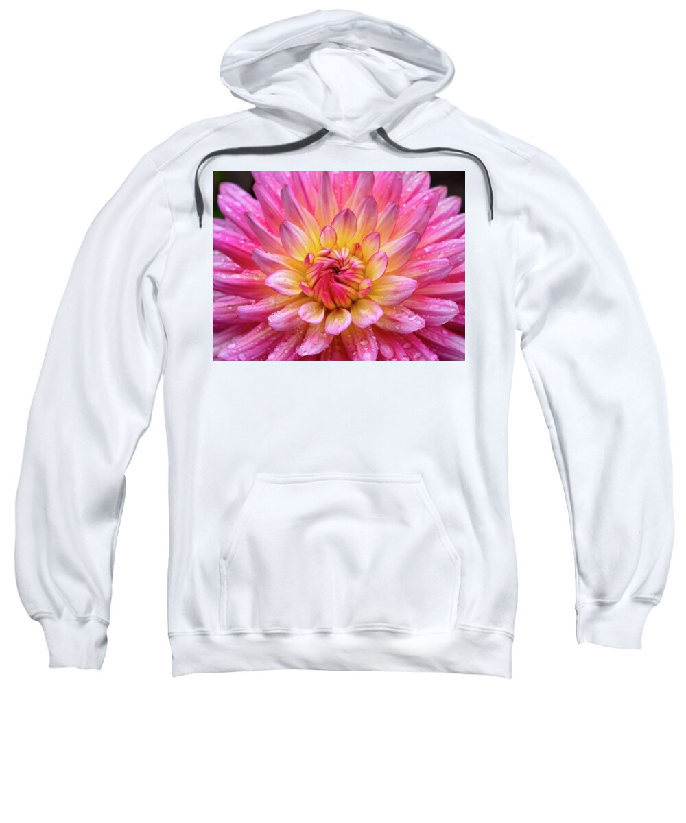 Dahlia Sweatshirt featuring the photograph Smiling by Louise Lindsay