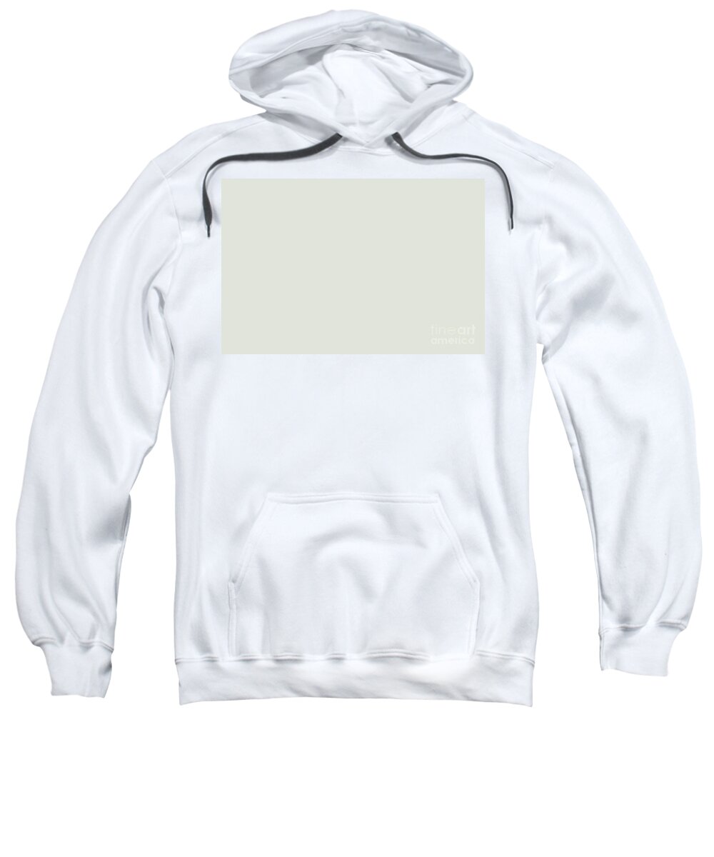 Smokey Off-White Solid Color Accent Sherwin Williams Ethereal White SW 6182 Adult Pull-Over Hoodie by PIPA Fine Art - Solid - Pixels