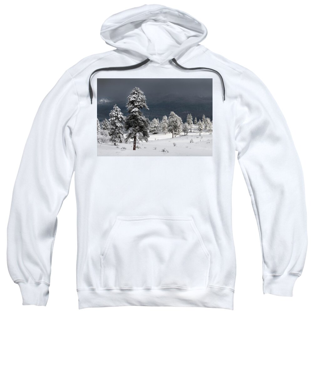 Pagosa Peak Storm Sweatshirt featuring the photograph Snow on Ponderosa Pines by Mark Langford