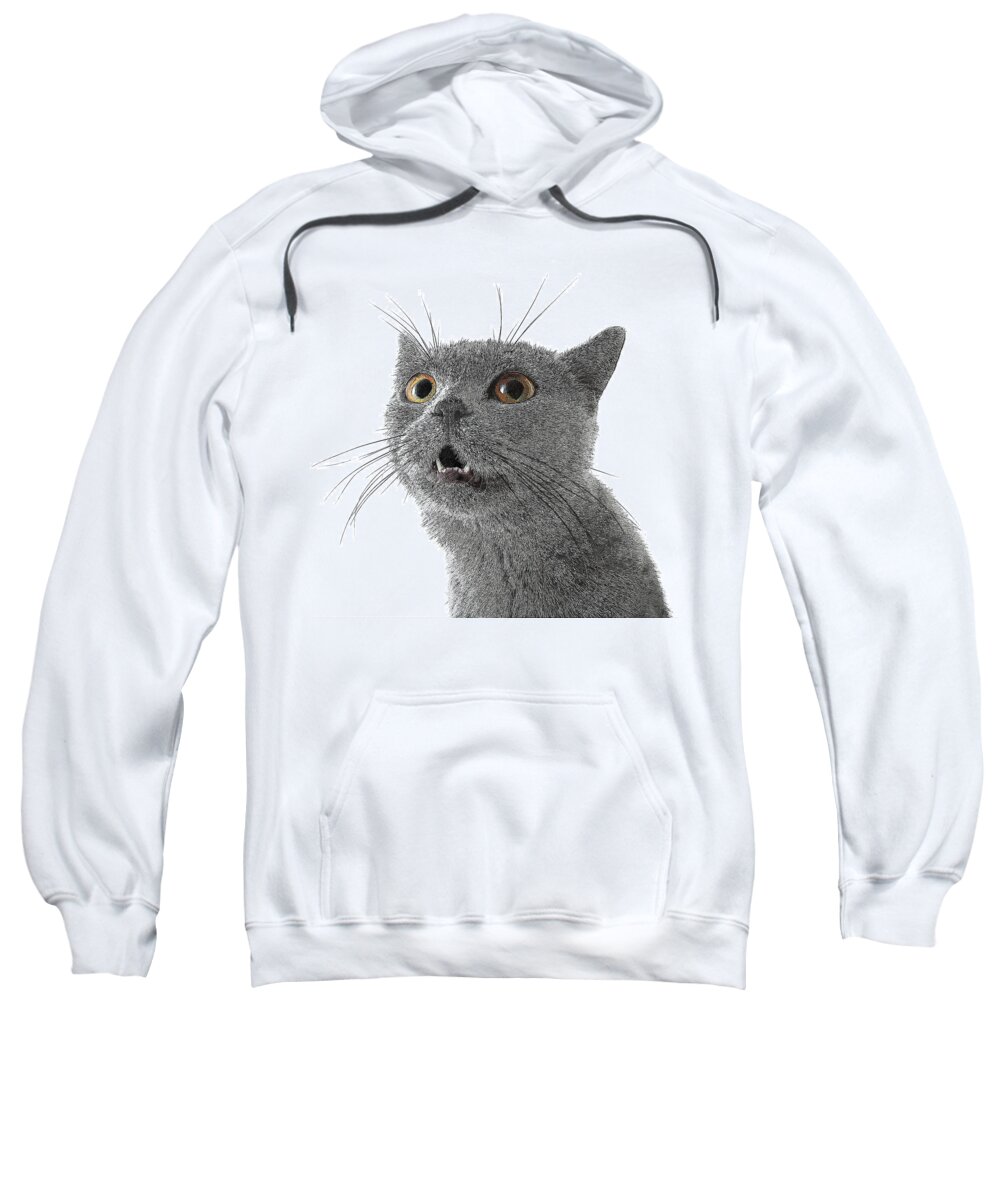 Grey Sweatshirt featuring the painting So adorable and cute, Chartreux Cat by Custom Pet Portrait Art Studio