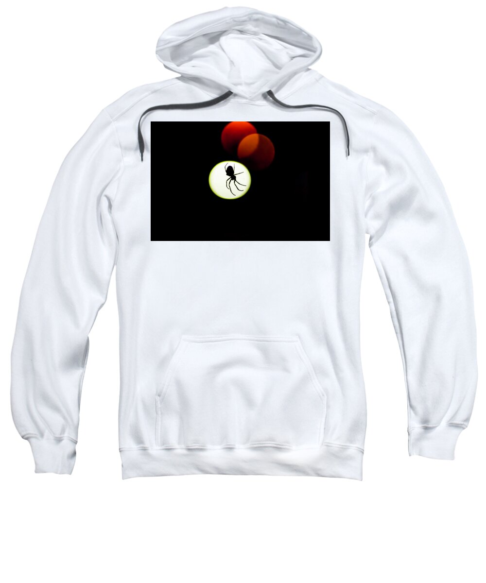  Sweatshirt featuring the photograph Spider Silhoutte by Nicole Engstrom