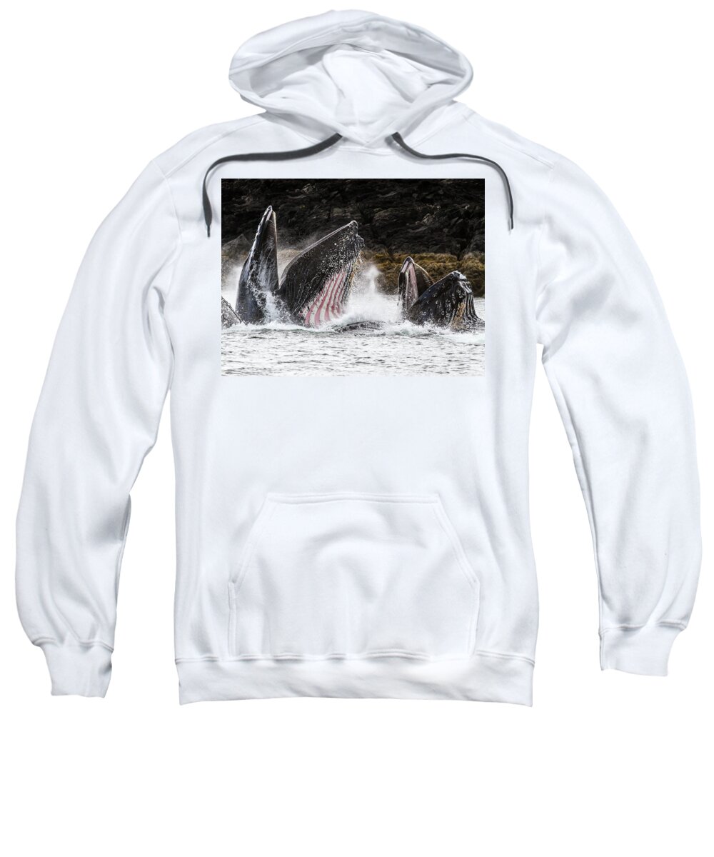 Whale Sweatshirt featuring the photograph Stars n' Stripes by Michael Rauwolf