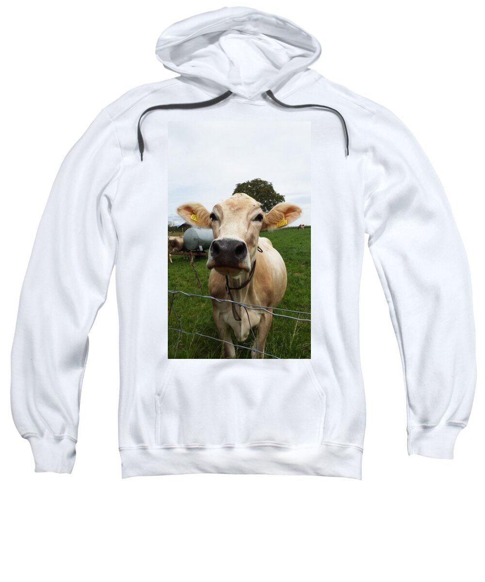 Swiss Sweatshirt featuring the photograph Swiss cow by Joelle Philibert