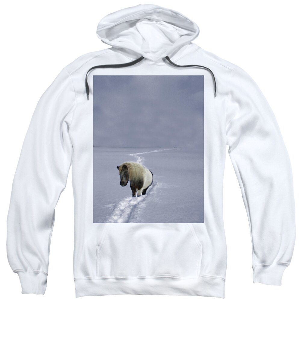 Mane Sweatshirt featuring the photograph The Ponys Trail by Wayne King