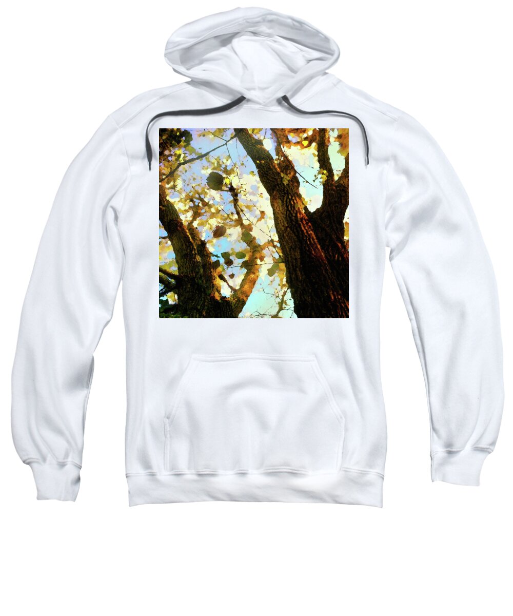 Treetop Sweatshirt featuring the mixed media Treetop Abstract-Look up a Tree by Shelli Fitzpatrick