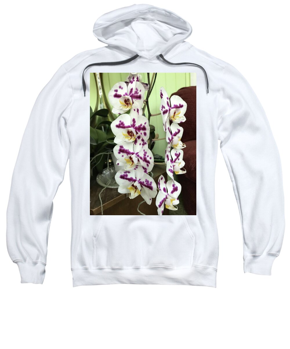 Twins Sweatshirt featuring the photograph Twins by Vivian Aumond