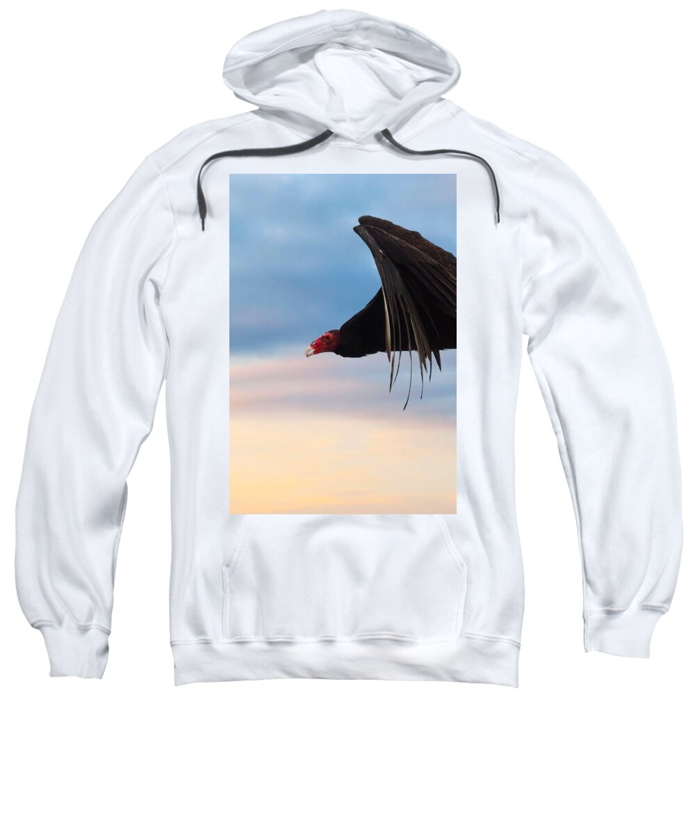 Nature Sweatshirt featuring the mixed media Vulture by Judy Cuddehe